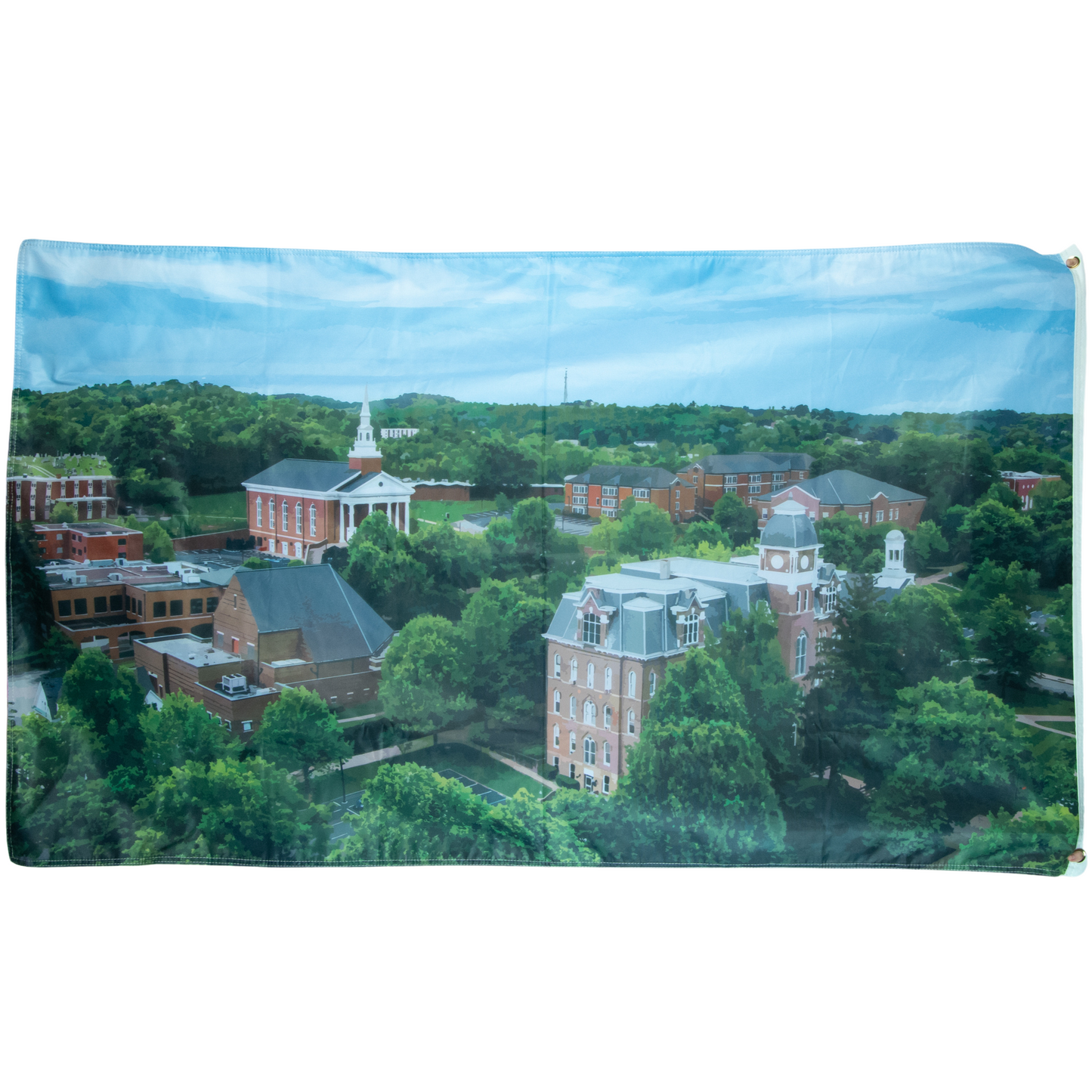 Large Reversible WU Campus Flag