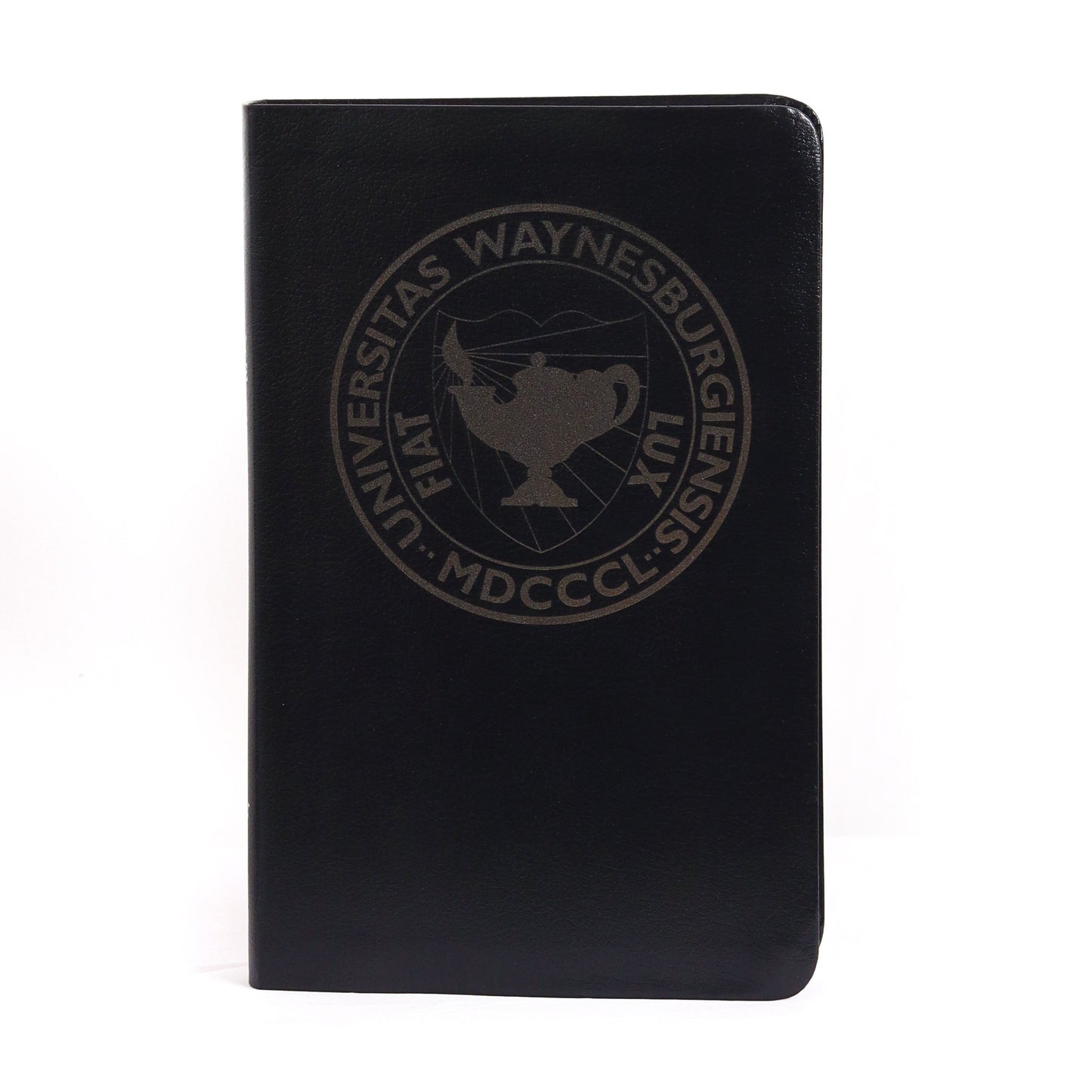 eHIVE NIV Bible FSS