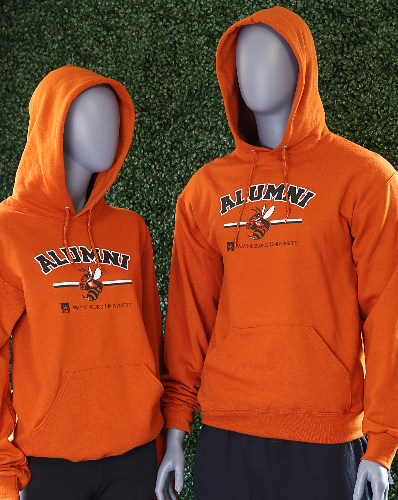 Alumni Hoodie Sting