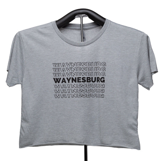 Waynesburg Crop Top Gray